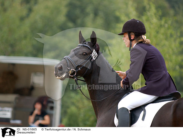 Dressurreiten / dressage / NS-01665