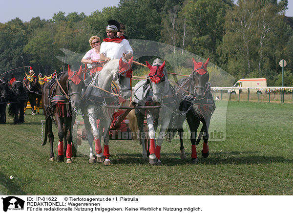 REDAKTIONELL: Wagenrennen / EDITORIAL: chariot race / IP-01622