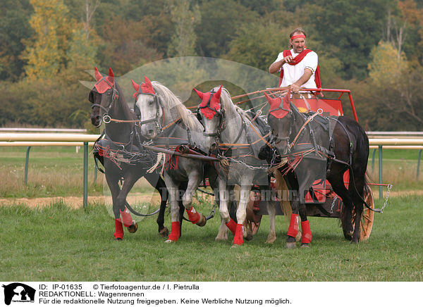 REDAKTIONELL: Wagenrennen / EDITORIAL: chariot race / IP-01635