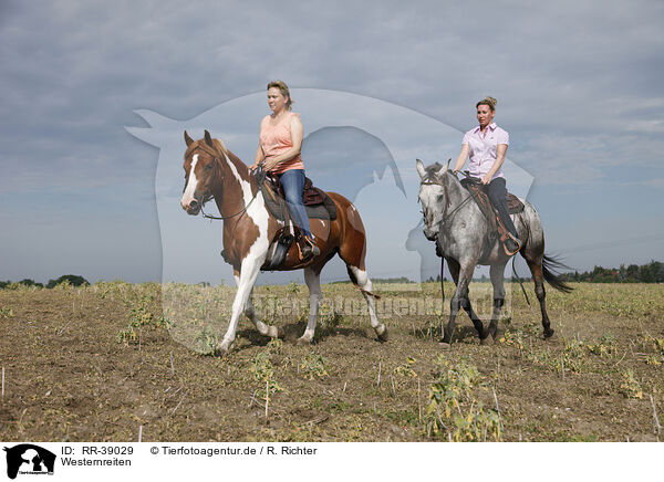 Westernreiten / western riding / RR-39029