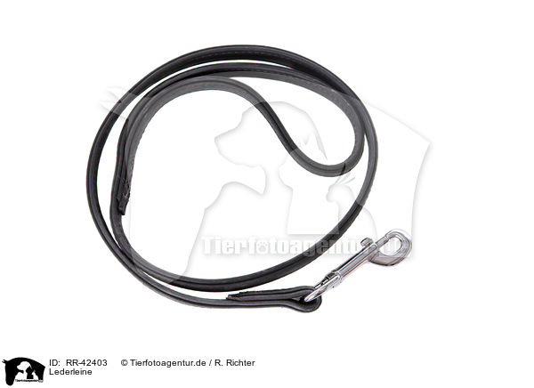 Lederleine / leather lead / RR-42403