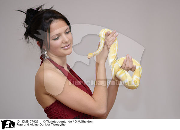 Frau und Albino Dunkler Tigerpython / woman and Albino Burmese python / DMS-07923