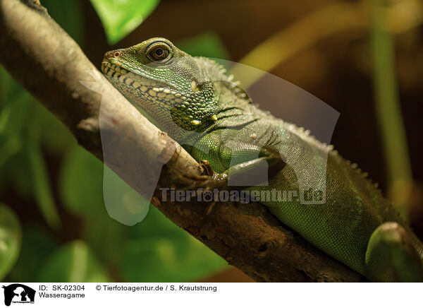 Wasseragame / SK-02304