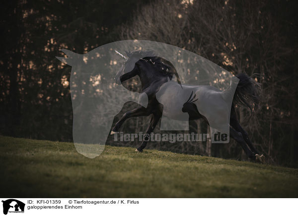 galoppierendes Einhorn / galloping Unicorn / KFI-01359