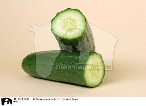 Gurke / cucumber / SS-05989