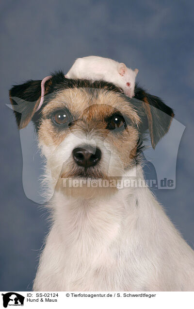 Hund & Maus / dog & mouse / SS-02124