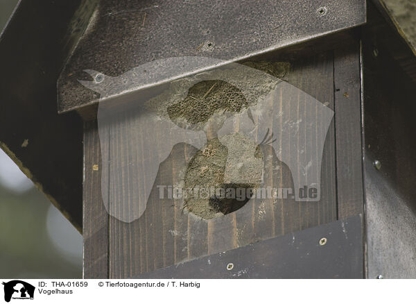 Vogelhaus / birdhouse / THA-01659