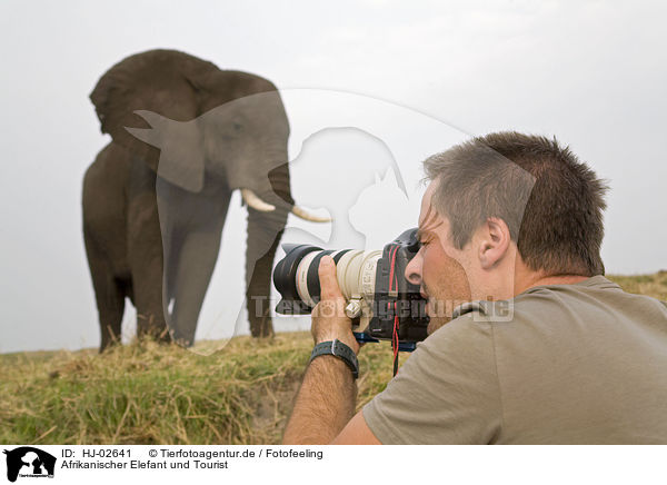 Afrikanischer Elefant und Tourist / African Elephant and tourist / HJ-02641