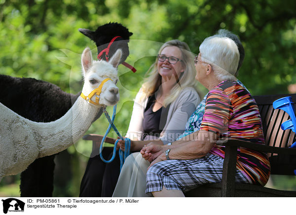 tiergesttzte Therapie / animal-assisted therapy / PM-05861